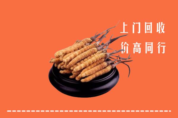 高价求购：长春市二道区回收散虫草