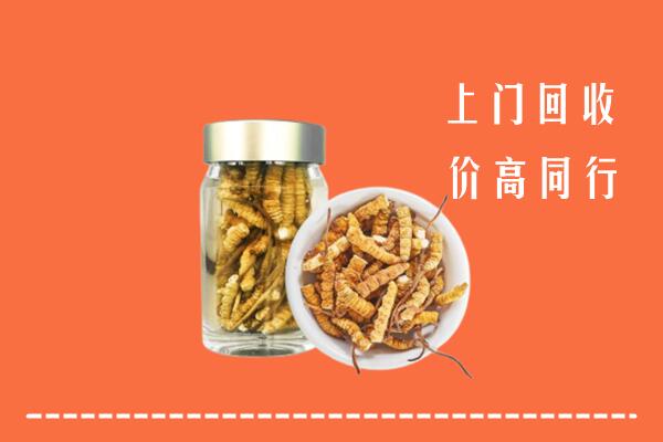 长春市二道区回收冬虫夏草